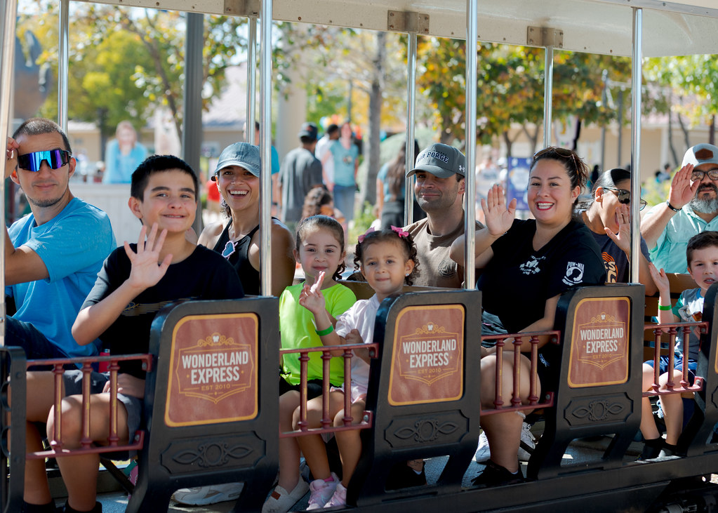 wonderful express family reunion joyous families ride a train